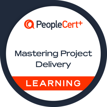 Mastering Project Delivery